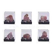 Nuggets Natural Tourmaline, Rough Raw Stone Home Display Decorations, with Packing Box, 13~34x5~27x5~27mm, 6pcs/box(DJEW-F011-03J)