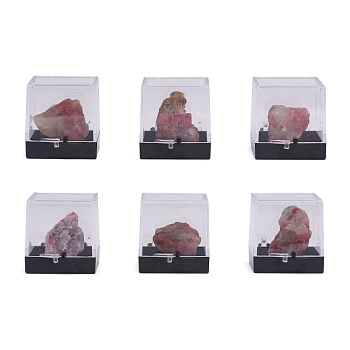 Nuggets Natural Tourmaline, Rough Raw Stone Home Display Decorations, with Packing Box, 13~34x5~27x5~27mm, 6pcs/box
