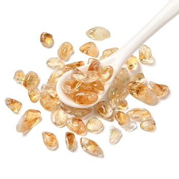 Natural Citrine Chip Beads, No Hole/Undrilled, 5~18x5~8x2~6mm, 5000pcs/1000g