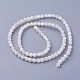 Shell Beads Strands(SSHEL-E571-38-4mm)-2
