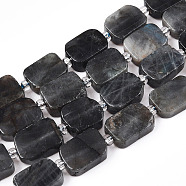 Natural Larvikite Beads Strands, with Seed Beads, Rectangle, 11~13x8~9x4~5mm, Hole: 0.8mm, about 14pcs/strand, 7.68''(19.5cm), Seed Beads: 3x3x2, Hole: 0.8mm(G-C098-A18-01)