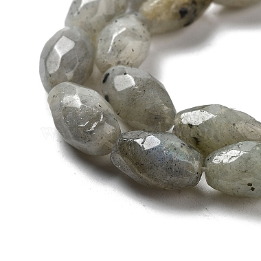 Natural Labradorite Beads Strands(G-P520-C08-01)-4