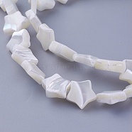 Shell Beads Strands, Star, 9~10x9.3~10.2x3~4.1mm, Hole: 0.5mm, about 46pcs/strand, 16.14 inch(41cm)(SSHEL-E571-27B)