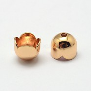 4-Petal Grade AAA Brass Bead Caps, Cadmium Free & Nickel Free & Lead Free, Flower, Golden, 6x5mm, Hole: 1mm(KK-E711-075G-NR)