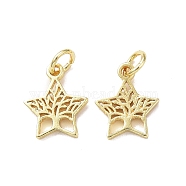 Rack Plating Brass Charms, with Jump Ring, Lead Free & Cadmium Free, Hollow, Star with Tree of Life Charm, Real 18K Gold Plated, 12.5x10.5x1.5mm, Hole: 3mm(KK-F849-05G)