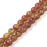 Handmade Lampwork Beads Strands, Round, Camel, 8mm, Hole: 1mm, about 48pcs/strand, 14.17''(36cm)(LAMP-D072-A-06)