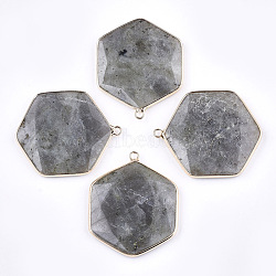 Natural Labradorite Pendants, with Brass Findings, Faceted, Hexagon, Golden, 44~45x36~37x5~6mm, Hole: 2mm(G-T112-19A)