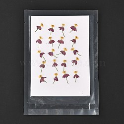 Blood-flower Milkweed Pressed Dried Flowers, for Cellphone, Photo Frame, Scrapbooking DIY Handmade Craft, Medium Violet Red, 18~22x10~13mm, 20pcs/bag(DIY-K032-59)