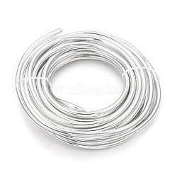 Round Aluminum Wire, Bendable Metal Craft Wire, for DIY Jewelry Craft Making, Silver, 3 Gauge, 6.0mm, 7m/500g(22.9 Feet/500g)(AW-S001-6.0mm-01)