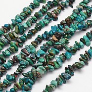 Natural Chrysocolla Bead Strands, Chips, 4~12x4~12mm, Hole: 1mm, about 15.74 inch(X-G-L459-40)