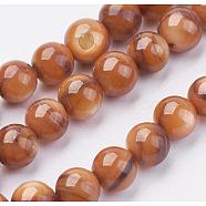 Shell Beads Strands, Dyed, Round, Chocolate, 6~7mm, Hole: 1mm, about 64pcs/strand, 15.74 inch(40cm)(BSHE-P026-39)