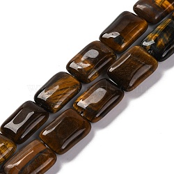 Natural Tiger Eye Beads Strands, Rectangle, 18x13.5x5.5mm, Hole: 1.2mm, about 22pcs/strand, 15.75 inch(40cm)(G-T047-B22-01)