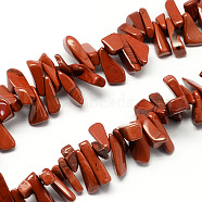 Natural Red Jasper Bead Strands, Chip, Red, 12~20x6~10x3~10mm, Hole: 1mm, about 104pcs/strand, 15.7 inch(G-R191-04)