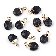 Natural Larvikite Charms, Top Light Gold Plated, with Iron Loop, Oval, Faceted, 14~15x8x5mm, Hole: 1.8mm(G-N326-58A)