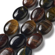 Natural 3-Color Tiger Eye Beads Strands, Dyed & Heated, Flat Oval, 18~18.5x13~13.5x6~6.5mm, Hole: 1.2mm, about 11pcs/strand, 7.76 inch(19.7cm)(G-P528-M22-01)