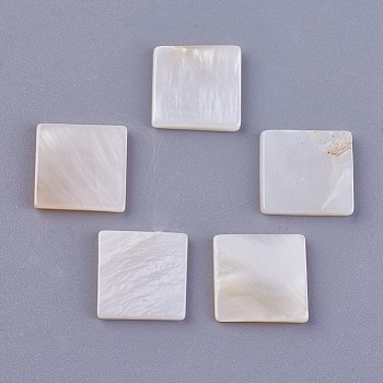 Shell Cabochons, Square, Floral White, 11x11x1.5~2mm