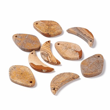 Natural Picture Jasper Pendants, Moon and Teardrop, 35.5~38x15~25x3.5~5.5mm, Hole: 1.6~2mm