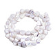 Chapelets de perles de coquille de trochid / trochus coquille(SSHEL-N032-49-A02)-3
