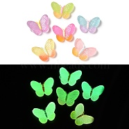 Luminous Translucent Resin Decoden Cabochons, Glow in the Dark Butterfly, Mixed Color, 23x29x5mm(RESI-M041-06)