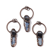 Natural Kyanite & Black Tourmaline Big Pendants, with Red Copper Plated Brass Findings, Nuggets Charms, 52~60x30x8mm, Hole: 6mm(G-F739-08R)