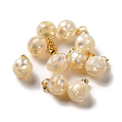 Natural White Shell Dyed Round Charms, with Golden Plated Brass Snap on Bails, Old Lace, 14x10mm, Hole: 4.5x4mm(SSHEL-H071-01G-03)