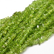 Natural Olive Quartz Chip Beads Strands, 5~14x4~10mm, Hole: 1mm, about 15.5 inch~16.1 inch(G-E271-89)