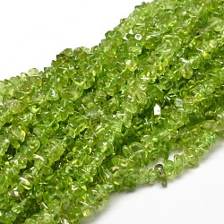 Natural Olive Quartz Chip Beads Strands, 5~14x4~10mm, Hole: 1mm, about 15.5 inch~16.1 inch(G-E271-89)