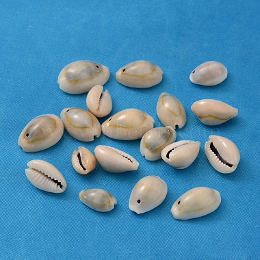 13mm Seashell Others Spiral Shell Beads