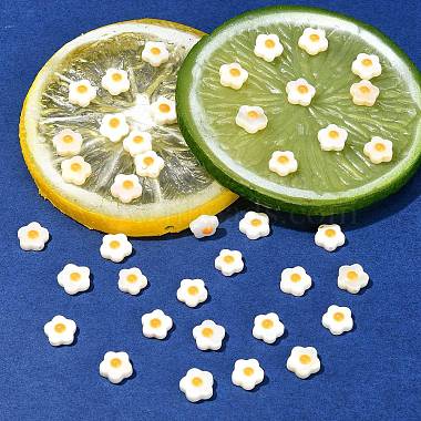 perles de coquillages d'eau douce naturelles avec émail orange(SHEL-CJ0001-25)-5
