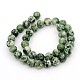Gemstone Beads Strands(GSR10mmC006)-3