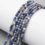 Natural Blue Spot Jasper Beads Strands, Round, 2~2.5mm, Hole: 0.5mm, about 89~91pcs/strand, 8.07''(20.5cm)(G-Z116-A02-2mm)