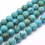 Natural Howlite Beads Strands, Dyed & Heated, Round, 8mm, Hole: 1mm, about 49pcs/Strand, 15.35 inch(39cm)(X-G-D0012-01C)