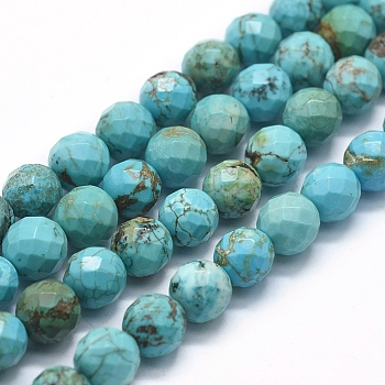 Natural Howlite Beads Strands, Dyed & Heated, Round, 8mm, Hole: 1mm, about 49pcs/Strand, 15.35 inch(39cm)
