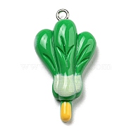 Opaque Resin Imitation Food Pendants, Kebab Charms with Platinum Tone Iron Loops, Sea Green, 33x18x8mm, Hole: 2mm(CRES-D019-02D)