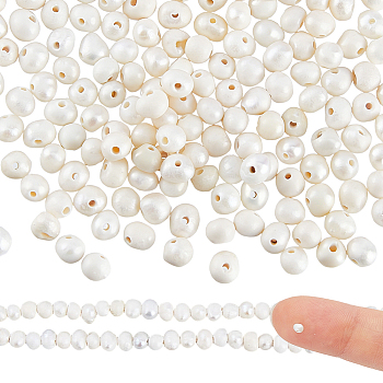 2 Strands Natural Cultured Freshwater Pearl Beads Strands, Potato, Floral White, 2~2.5mm, Hole: 0.6mm, about 158~160pcs/strand, 14.21~14.45''(36.1~36.7cm)