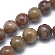 Natural Petrified Wood Beads Strands, Round, 8mm, Hole: 1.2mm, about 47pcs/strand, 14.9 inch(38cm)(G-I254-07B)
