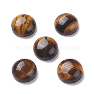 Gemstone Cabochon, Natural Tiger Eye, Half Round, Brown, about 10mm in diameter, 4mm thick(GP519-10MM)