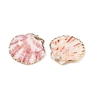 Natural Scallop Shell Big Pendants, Shell Shaped Charms with Golden Tone Iron Loops, Salmon, 32~52x31~54.5x3~7mm, Hole: 1~1.6mm(SSHEL-N038-12)