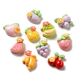 Flower Fruit Opaque Resin Decoden Cabochons, Mixed Shapes, Mixed Color, 21.5~27.5x15.5~24x9~12mm(CRES-P033-01)