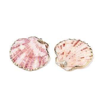 Natural Scallop Shell Big Pendants, Shell Shaped Charms with Golden Tone Iron Loops, Salmon, 32~52x31~54.5x3~7mm, Hole: 1~1.6mm