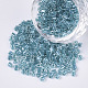8/0 Two Cut Glass Seed Beads(SEED-S033-10A-04)-1