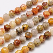 Natural Crazy Lace Agate Beads Strands, Faceted, Round, Mixed Color, 14mm, Hole: 1mm, about 28pcs/strand, 15.75 inch(G-G542-14mm-10)