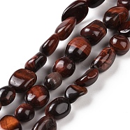 Natural Tiger Eye Beads Strands, Tumbled Stone, Dyed & Heated, Nuggets, 6~10.5x6~7.5x4~5mm, Hole: 0.8mm, about 50~55pcs/strand, 15.94''(40.5cm)(G-A208-02)