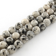Dyed Natural Sesame Jasper Round Beads Strands, Gainsboro, 6mm, Hole: 1mm, about 62pcs/strand, 15.7 inch(G-R342-6mm-15)