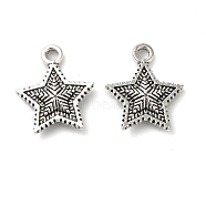 Tibetan style Alloy Charms, Star, Antique Silver, 14x12x3mm, Hole: 2mm(FIND-Z059-03AS)