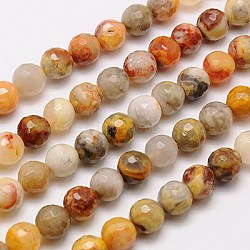 Natural Crazy Agate Beads Strands, Faceted, Round, Mixed Color, 14mm, Hole: 1mm, about 28pcs/strand, 15.75 inch(G-G542-14mm-10)
