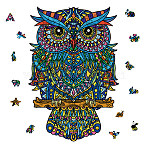 DIY Wooden Assembly Animal Toys Kits for Boys and Girls, Children Intelligence Toys, Owl, 244x360x4mm, box:19.8x15.9x5.5cm.(AJEW-WH0344-0015)