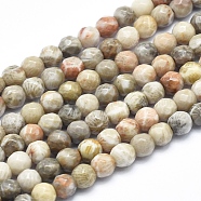 Natural Fossil Coral Beads Strands, Faceted, Round, 4mm, Hole: 0.8mm, about 103pcs/strand, 15.3 inch(G-K256-11-4mm)