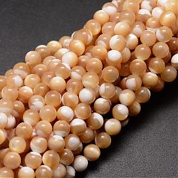 Natural Sea Shell Beads Strands, Round, Light Salmon, 6mm, Hole: 1mm, about 68pcs/strand, 15.75 inch(SSHEL-K013-6mm-B)