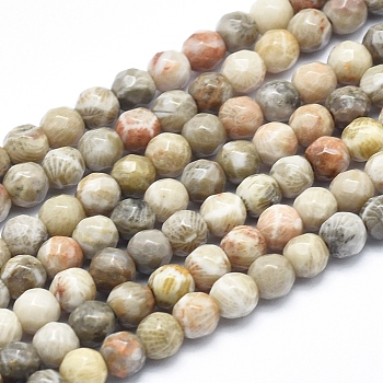Natural Fossil Coral Beads Strands, Faceted, Round, 4mm, Hole: 0.8mm, about 103pcs/strand, 15.3 inch